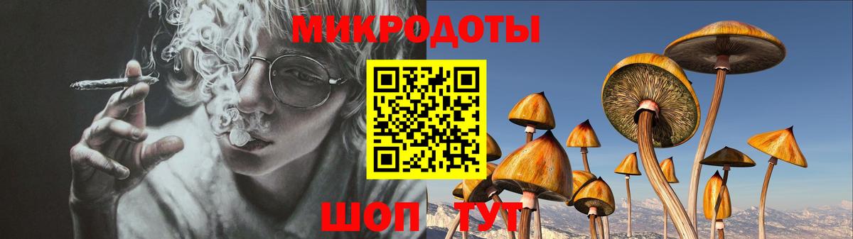 Псилоцибиновые грибы мицелий Якутск