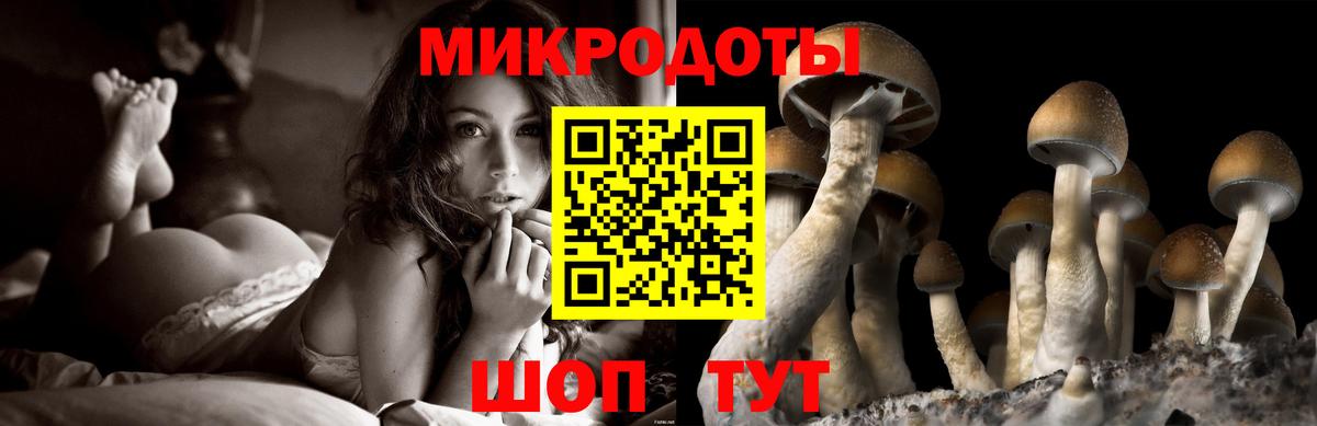 Галлюциногенные грибы мухоморы  Вход с VPN  купить   Якутск 